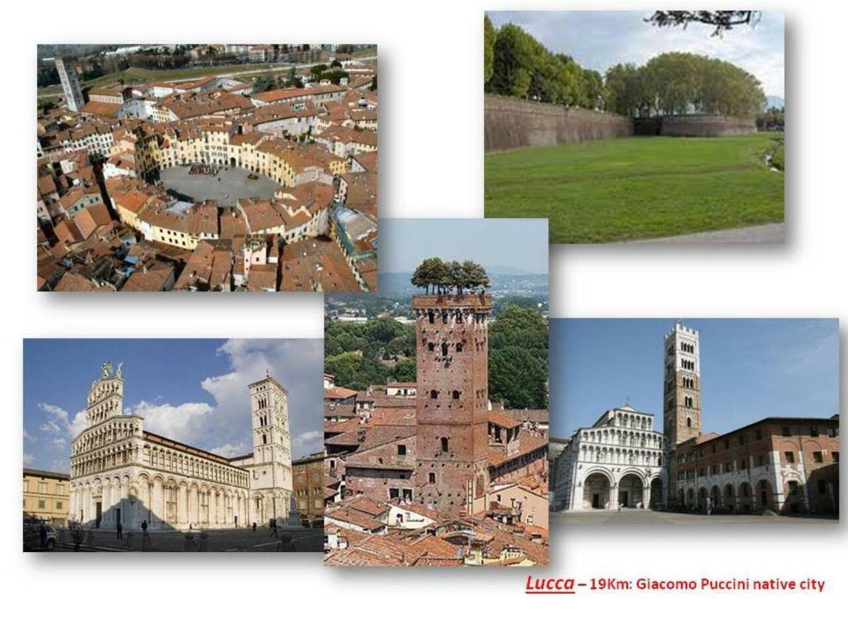 Altido Apt For 8 With Huge Terrace In Old Town Of Viareggio Ngoại thất bức ảnh